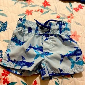 Shark swim suit